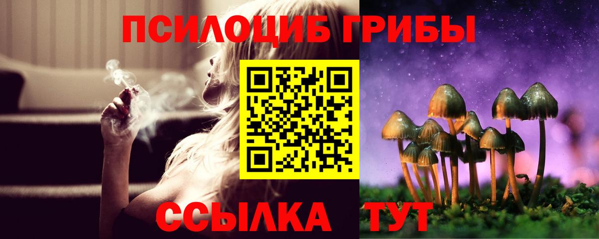Псилоцибиновые грибы GOLDEN TEACHER Тамбов
